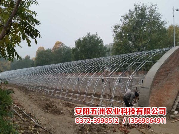 溫室大棚 溫室大棚
